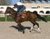 NOOZHOH en la pista de entrenamiento de La Zarzuela.